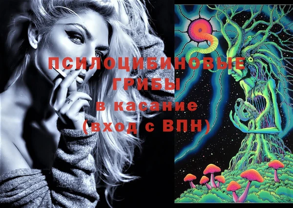 мяу мяу мука Белокуриха